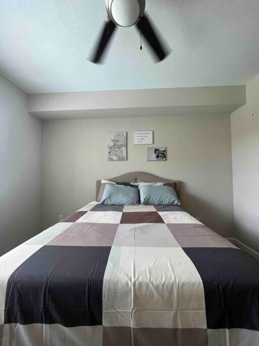 Blooming Journey In Tampa Bay! Apartment Екстериор снимка