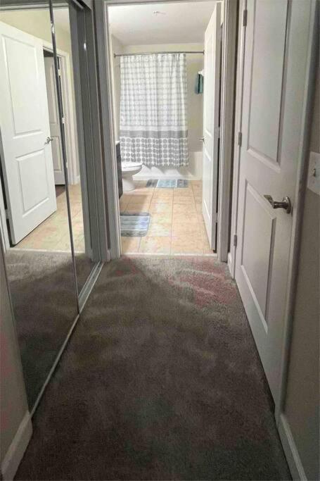 Blooming Journey In Tampa Bay! Apartment Екстериор снимка